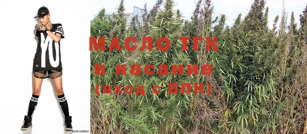 прущие грибы Баксан