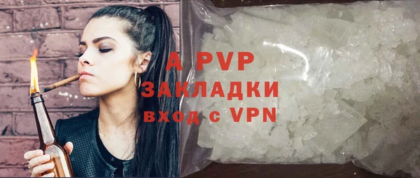 прущие грибы Баксан