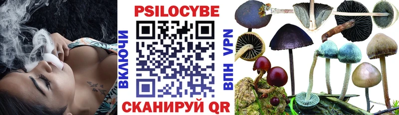 где продают наркотики  Абакан  Псилоцибиновые грибы мицелий 